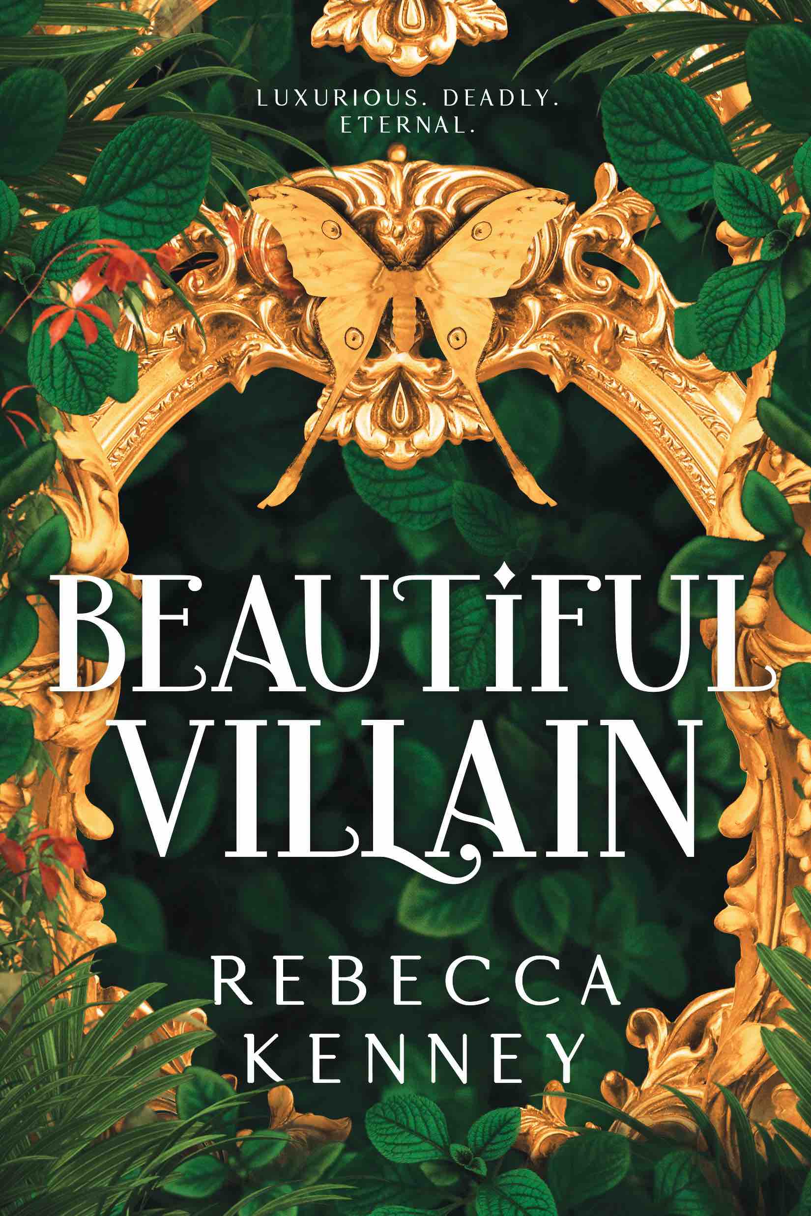 book cover for Beautiful Villain by Rebecca F. Kenney